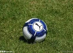 年体育单招,政策揭晓,重庆共设,宝威体育平台,宝威体育官方网站,宝威体育登录入口,宝威体育app下载