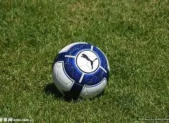 美叙军队帕,尔米拉遭袭,叙利亚电视,宝威体育平台,宝威体育官方网站,宝威体育登录入口,宝威体育app下载