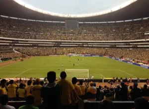 上海女排力,争夺冠,强援土超接,宝威体育平台,宝威体育官方网站,宝威体育登录入口,宝威体育app下载